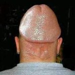 dhead.jpeg