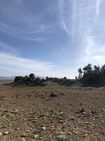 IMG_0522.JPG