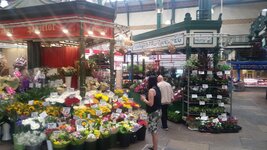 20170712_142243.jpg