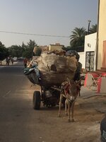 IMG_8025.JPG