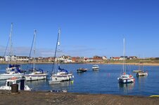 IMG_5895.jpg