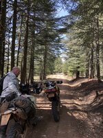 IMG_0536.JPG