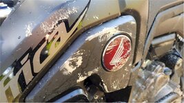 Mud4.jpg