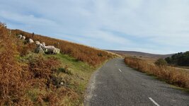 20171014_142744.jpg