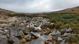 20171015_105108.jpg