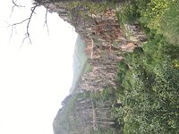 IMG_6699.jpg