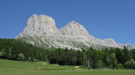 IMG_1017.jpg