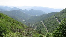 IMG_1065.jpg