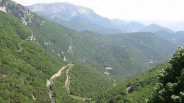 IMG_1066.jpg