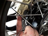 20180615_102612.jpg