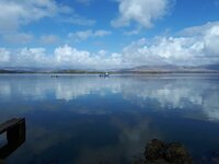 20180407_121348.jpg