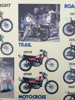 IMG_9902 y4.jpg