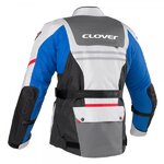 clover 2.jpg