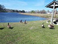 20180309_145255.jpg