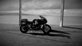 Dr John Guzzi Browns Bay.jpg