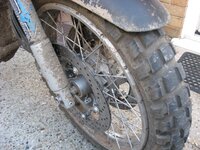 IMG_1136.jpg