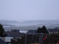 DSC01861.jpg