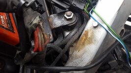 Dead Dakar.jpg