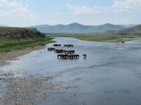 IMG_1644.jpg