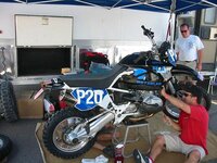 5582749-m.jpg
