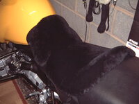 dscf1053.jpg