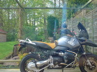 sqirrel 002.jpg