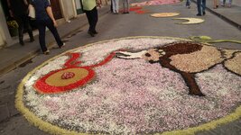 IMG_20170528_165511939.jpg