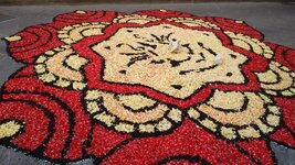 IMG_20170528_165615004.jpg
