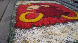 IMG_20170528_173744678.jpg