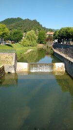 IMG_20170529_095930195.jpg
