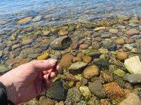 IMG_0783.jpg