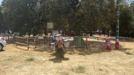 IMG_20170608_134051982.jpg