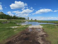IMG_3251.jpg