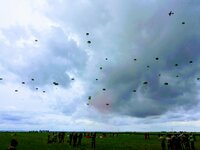 IMG_20190605_191437196.jpg