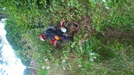 WP_20180906_15_51_54_Pro.jpg