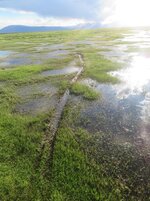 IMG_0990.jpg