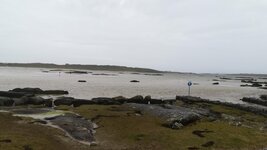 IMG_20190318_145255.jpg
