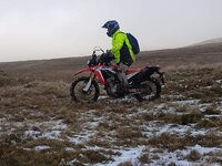 FB_IMG_1548016746568.jpg