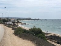 IMG_2474.jpg