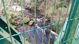 IMG_20190320_105104.jpg