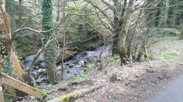 IMG_20190320_105049.jpg