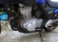 IMAG0823.jpg
