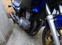 IMAG0825.jpg