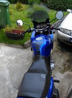 IMAG0821.jpg