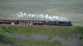 DSC00414.jpg