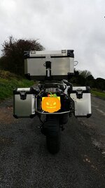 Rear.jpg