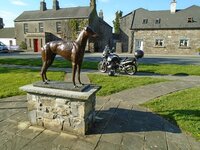 13 Laois-Offaly1.jpg