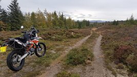 20181018_171430.jpg