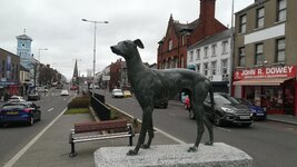 IMG_20190320_142412.jpg