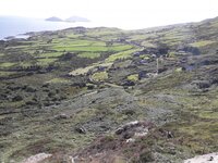 20190812_174506.jpg